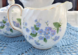 Sugar And Cream Blue Forget Me Nots 1960s Royal Adderleys English Bone China