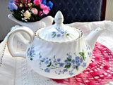 Teapot Blue Forget Me Nots Large 1960s Royal Adderleys English Bone China