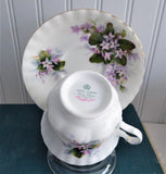 Pretty Mayflower Royal Albert Cup and Saucer Pink Blossoms Montrose Shape 1960s