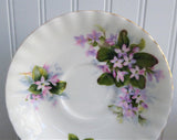 Pretty Mayflower Royal Albert Cup and Saucer Pink Blossoms Montrose Shape 1960s