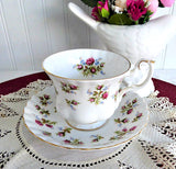 Cup And Saucer Royal Albert Winsome Floral Bands English Bone China 1966-1970s