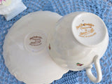 Pretty Rose Cup And Saucer 1960s Ironstone Royal Staffordshire Clarice Cliff