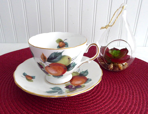 Fruit Cup and Saucer Royal Vale English Bone China 1960s Apples Berries