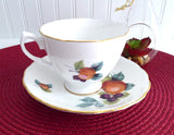 Fruit Cup and Saucer Royal Vale English Bone China 1960s Apples Berries