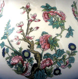 Teapot Sadler Indian Tree Indian Peony Large Vintage English 1960s