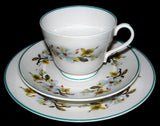 Shelley Bailey's Dogwood Cup And Saucer With Plate Windsor Teacup Trio Teal Trim