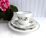 Shelley Bailey's Dogwood Cup And Saucer With Plate Windsor Teacup Trio Teal Trim