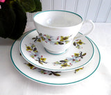 Shelley Bailey's Dogwood Cup And Saucer With Plate Windsor Teacup Trio Teal Trim