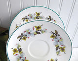 Shelley Bailey's Dogwood Cup And Saucer With Plate Windsor Teacup Trio Teal Trim