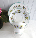 Shelley Bailey's Dogwood Cup And Saucer With Plate Windsor Teacup Trio Teal Trim