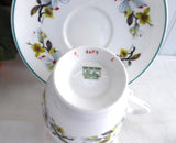 Shelley Bailey's Dogwood Cup And Saucer With Plate Windsor Teacup Trio Teal Trim