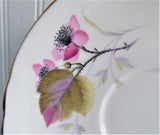 Shelley Bramble Cup And Saucer Briar Rose Lincoln 1963-1966 Pink Lavender Grey