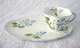 Shelley Dainty American Brooklime Snack Set Cup Saucer Fitted Plate Snack Buffet
