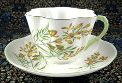 Shelley Golden Broom Dainty Cup and Saucer 1964 To 1966 – Antiques