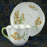 Shelley Golden Broom Dainty Cup and Saucer 1964 To 1966