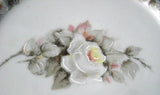 Butter Pats Pair Hand Painted Roses Teabag Caddy Porcelana Brazil