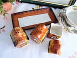 Price Kensington Cottage Ware 5 Piece Set On Tray Salt Pepper Mustard 1950s England