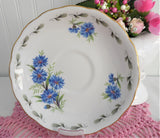 Blue Cornflowers Cup and Saucer Royal Vale Bachelor Buttons Bone China 1960s