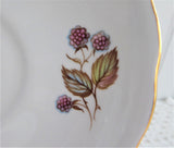 Cup and Saucer Royal Vale English Bone China 1960s Blackberries Raspberries