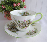 Royal Albert Orange Blossoms Tea Cup And Saucer 1960s Blossom Time Series