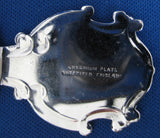 Prince Charles Investiture Tea Caddy Spoon 1969 Royal Tea Scoop Enamel