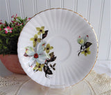Spring Dogwood Blossoms 1970s Cup And Saucer Royal Windsor  Bone China