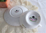 Spring Dogwood Blossoms 1970s Cup And Saucer Royal Windsor  Bone China