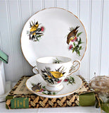 Goldfinch Audubon Birds Teacup Trio Royal Tuscan 1970s  Bird Lovers Tea Party