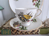 Goldfinch Audubon Birds Teacup Trio Royal Tuscan 1970s  Bird Lovers Tea Party