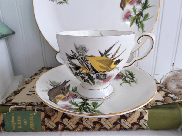 Goldfinch Audubon Birds Teacup Trio Royal Tuscan 1970s Bird Lovers
