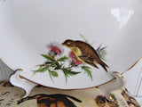 Goldfinch Audubon Birds Teacup Trio Royal Tuscan 1970s  Bird Lovers Tea Party