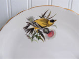 Goldfinch Audubon Birds Teacup Trio Royal Tuscan 1970s  Bird Lovers Tea Party