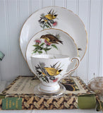 Goldfinch Audubon Birds Teacup Trio Royal Tuscan 1970s  Bird Lovers Tea Party