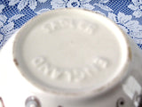 Sadler Ginger Jar Tea Caddy Fancy Birds Pattern 1970s Ceramic Canister