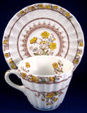 Spode England Buttercup Cream Ware Cup And Saucer Maroon Transfer 1970s