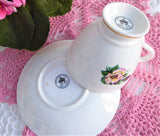 Roses Pink Maroon Cup And Saucer 1970s English Bone China Royal Dover