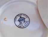 Roses Pink Maroon Cup And Saucer 1970s English Bone China Royal Dover