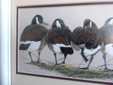 Framed Print Canada Geese Rear Admirals 1980s Art LaMay Bird Print Wood Matted