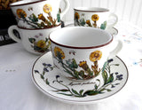 Villeroy And Boch Botanica 4 Cups And Saucers Botanical Names Stoneware 1980s