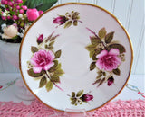 Pink Burgundy Roses Cup And Saucer Queen's Bone China 1980s English Bone China