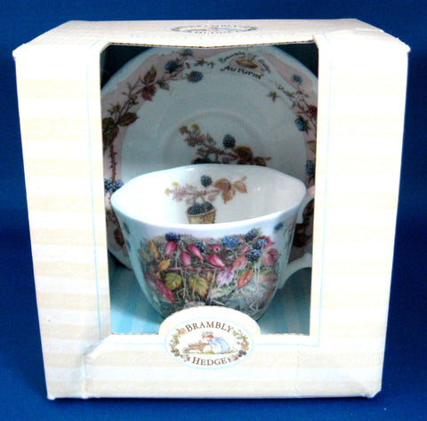 Brambly Hedge Autumn Cup And Saucer Royal Doulton 1983 Original Box Jill Barklem