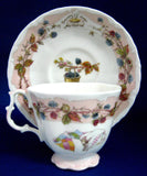 Brambly Hedge Autumn Cup And Saucer Royal Doulton 1983 Original Box Jill Barklem