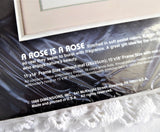 Cross Stitch Kit A Rose Is A Rose Unopened 1988 Thread Chart Aida Needle Dimensions