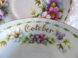 October Cosmos Cup And Saucer Royal Albert Flower Of The Month 1970s