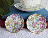 Pretty Pair Chintz Tea Bag Caddies Summertime Chintz Bone China Butter Pats