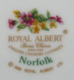 English Country Cottages Royal Albert Norfolk English Cottages Cup and Saucer