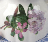Royal Patrician Rhododendron Teapot Pink And Mauve English Azaleas Tea Party