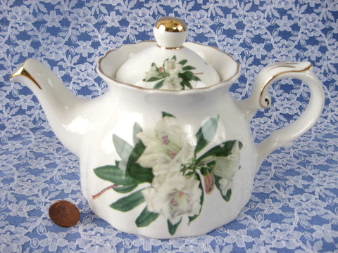 White Azalea Teapot Royal Patrician Rhododendron English 16 Ounce Unusual Shape