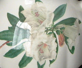White Azalea Teapot Royal Patrician Rhododendron English 16 Ounce Unusual Shape