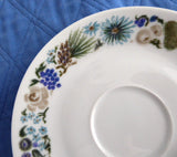 Saucer Only Fruit Nuts Arzberg Bavaria 1950s Mid Century Modern Turquoise Green Brown - Antiques And Teacups - 1